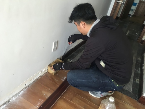 DIỆT MỐI TẬN GỐC TẠI ĐÔNG TRIỀU - 0966 797 695