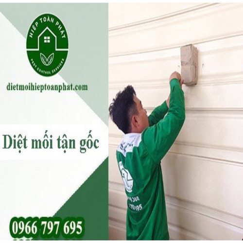 DIỆT MỐI - PHÒNG CHỐNG MỐI TẠI BẮC NINH