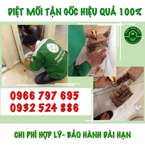 DIỆT MỐI - PHÒNG CHỐNG MỐI TẠI HÀ NỘI