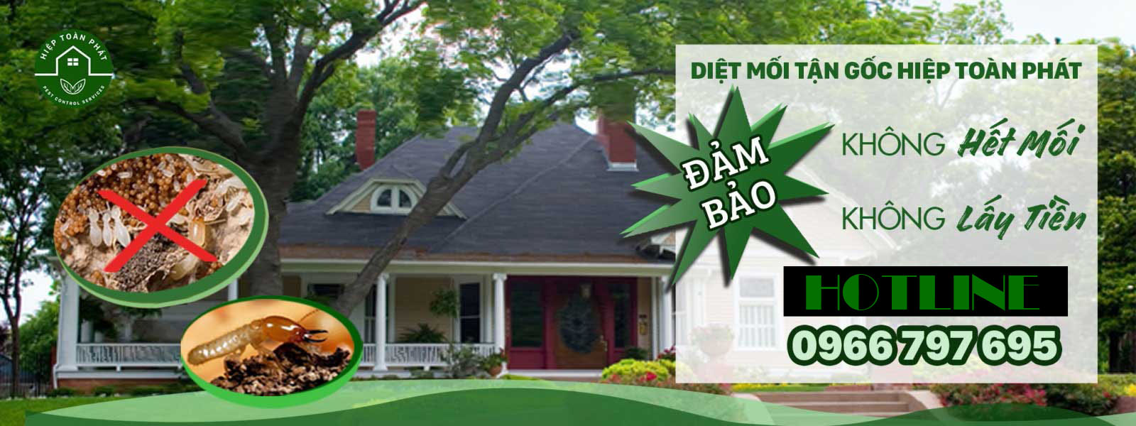 Dịch vụ diệt mối