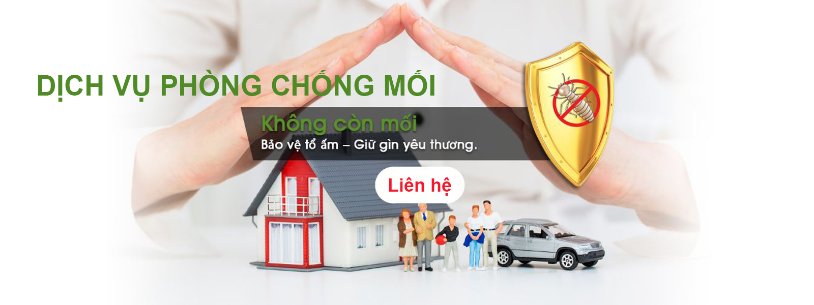 Giới thiệu diệt mối tận gốc Hiệp Toàn Phát