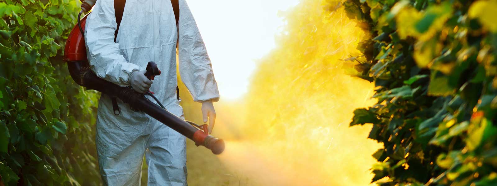 Diệt Muỗi Hiệp Toàn Phát